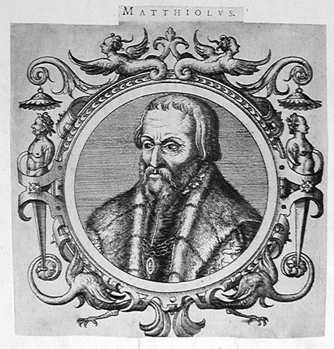 Johannes Baptista Montanus