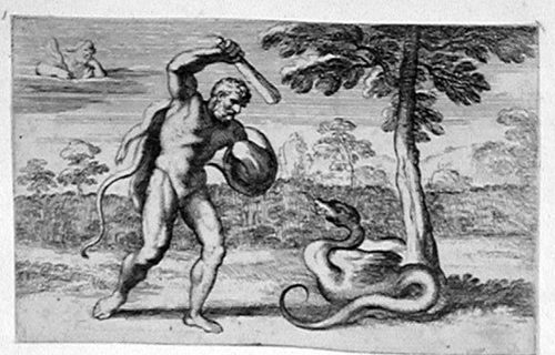 Herakles besiegt den Drachen Ladon