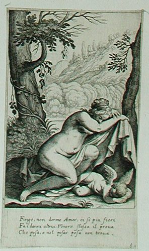 Schlafende Venus und Amor