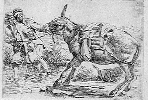 Zwei Rinder