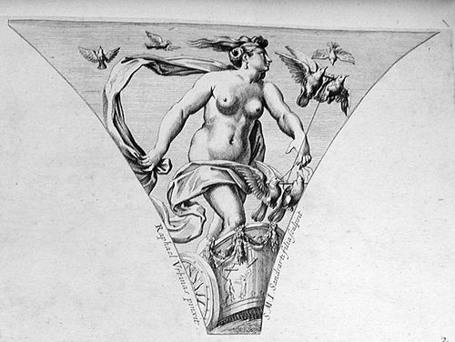 Venus steigt zum Olymp empor