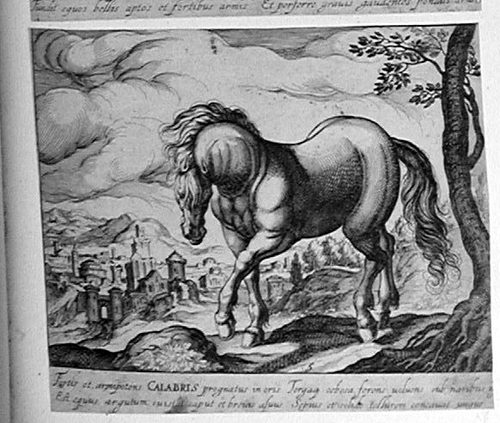 Stehendes Pferd vor einer Seenlandschaft