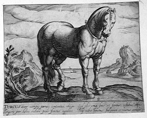 Steigendes Pferd vor einer Seenlandschaft