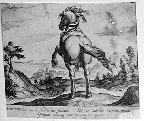 Steigendes Pferd