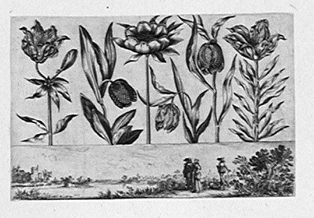 Tulpen und  Pfingstrosen, unten die adelige Gesellschaft am Fluß