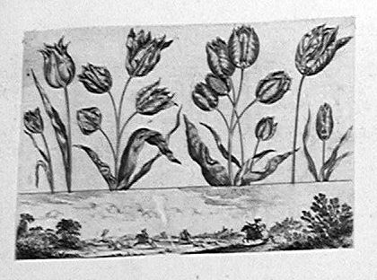 Tulpen, unten ein Hirschjagd