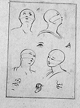 Vier Kopfstudien mit Augen, Nasen und Ohren